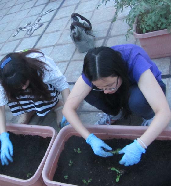 aifarming-urban-farming